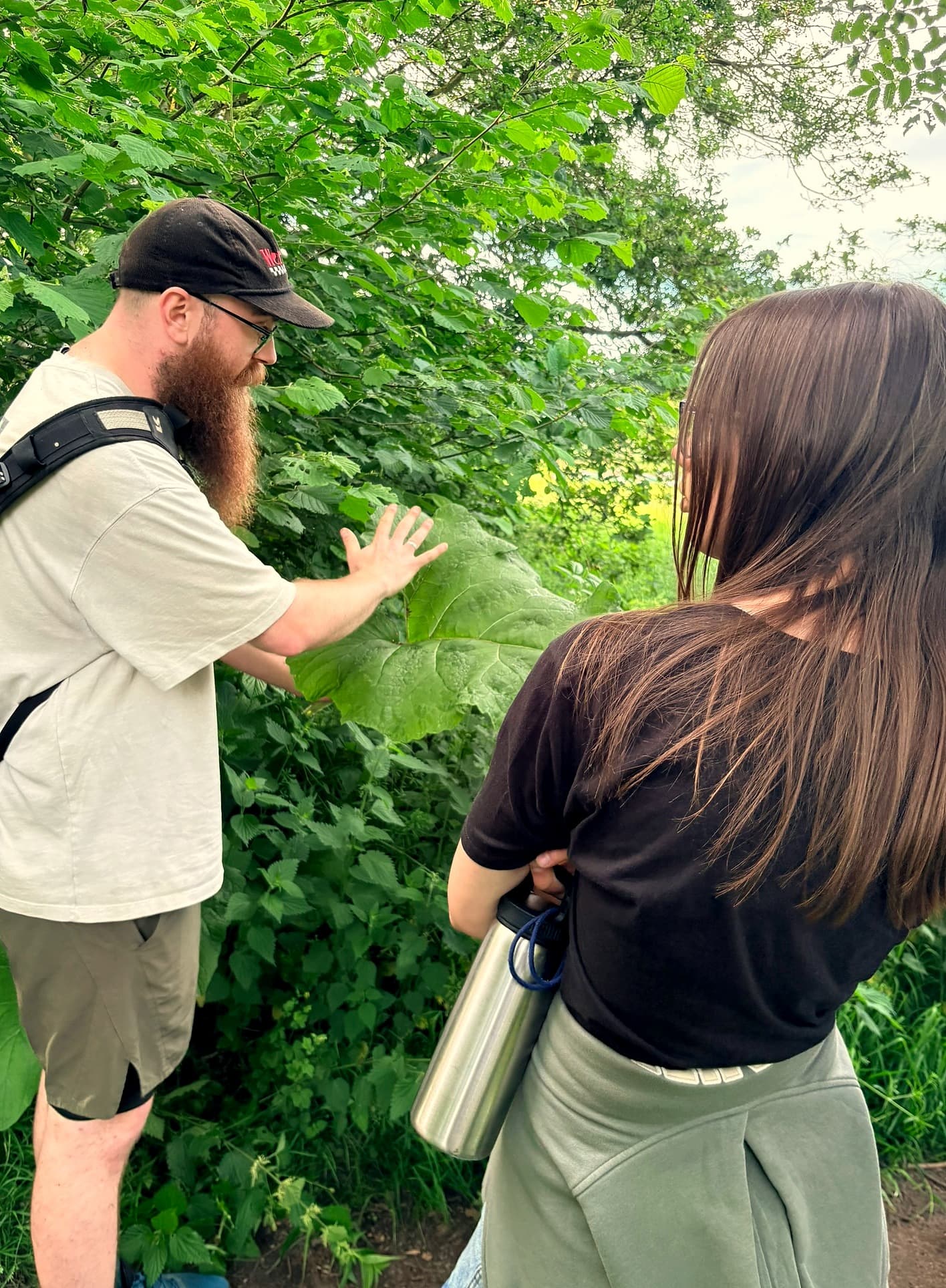 Foraging: Secrets of the British Wood: photo 2 of 7