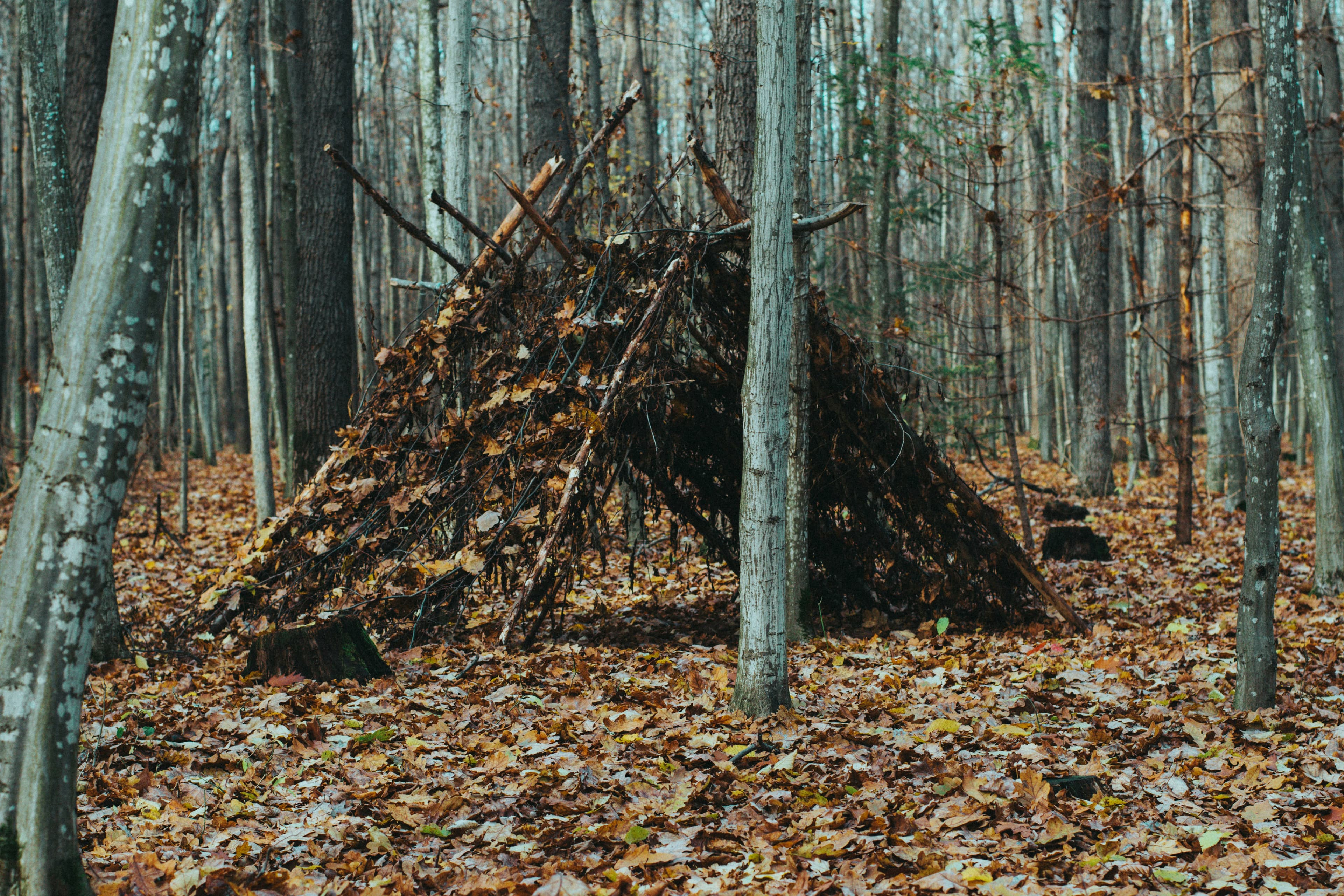 Off-Grid: Surviving Without Anything: photo 3 of 4